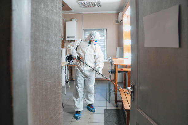 Mold Documentation for Insurance Claims in Palmetto Bay, FL