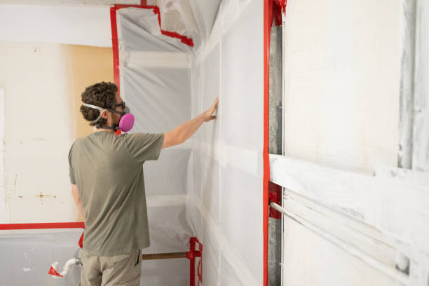 Best Post-Construction Mold Inspection  in Palmetto Bay, FL