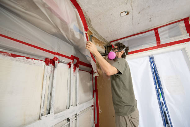 Best Emergency Mold Remediation  in Palmetto Bay, FL
