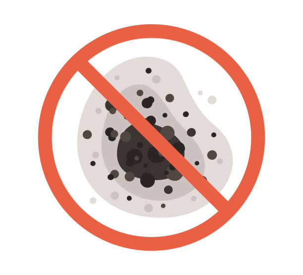 Dehumidification Services in Palmetto Bay, FL
